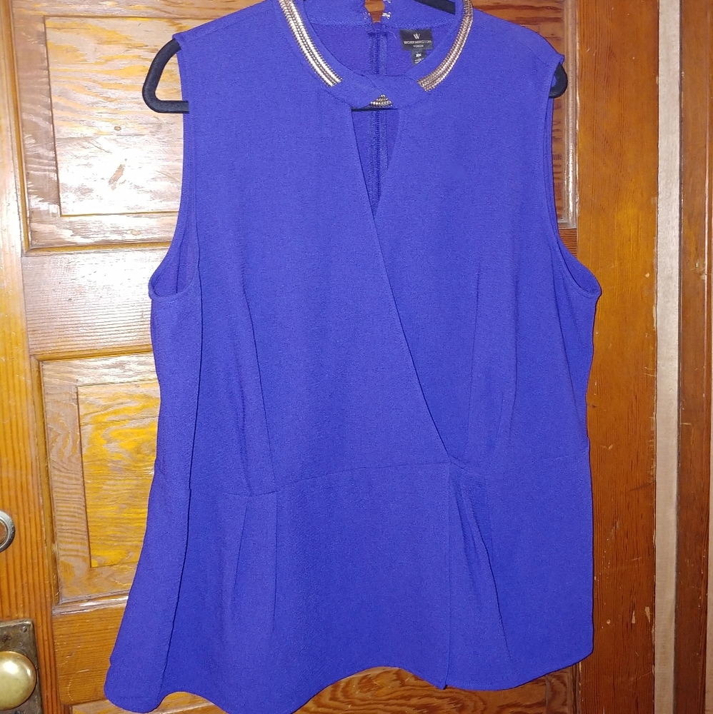 NWT blue blouse